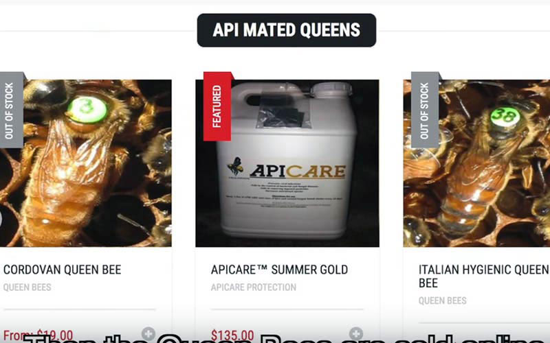 An online commerce page offers marked queen bees for sale, turning these animals into commercial products.
