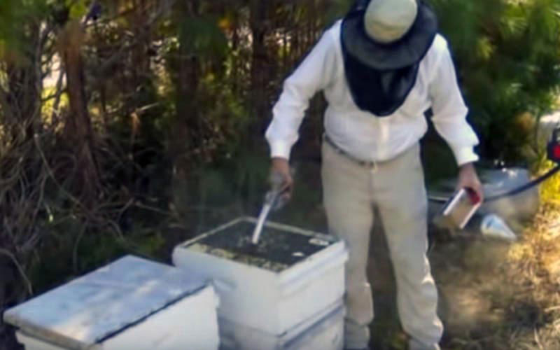 A beekeeper in protective gear applies smoke to the lid of a hive.