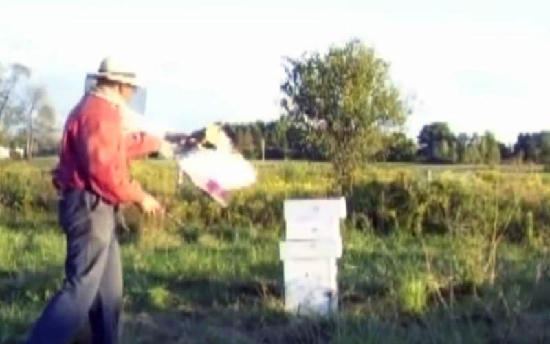 A beekeeper walks away while throwing a flammable product toward the colony.