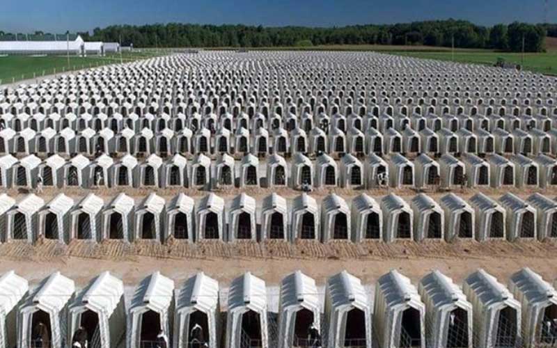 Aerial view of a massive alignment of individual calf hutches in a field.