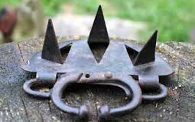 Metal nasal weaning device with three sharp triangular spikes.