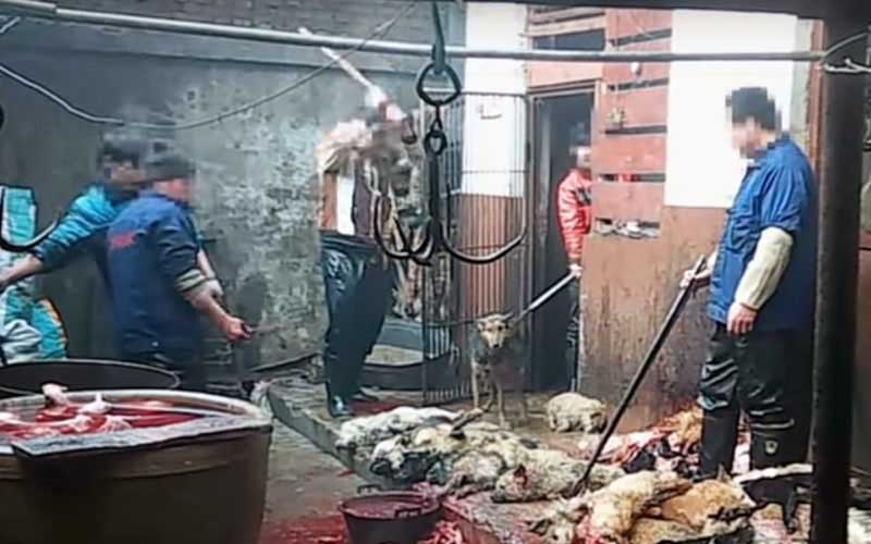Individuals working in a slaughterhouse surrounded by animal remains.