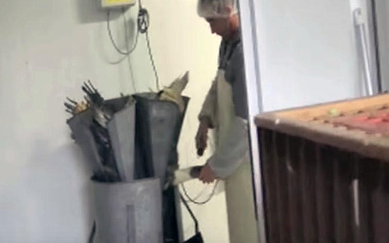 A worker operating an automated force-feeding machine in the facility.