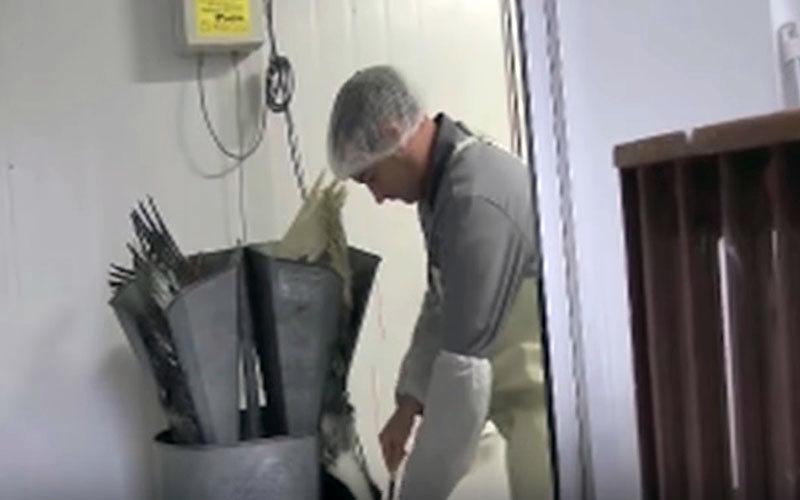 Profile view of an employee managing the duck force-feeding process.