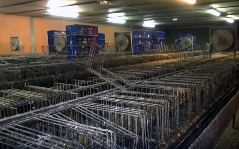 Overview of the interior of an intensive farming building with rows of metal cages.