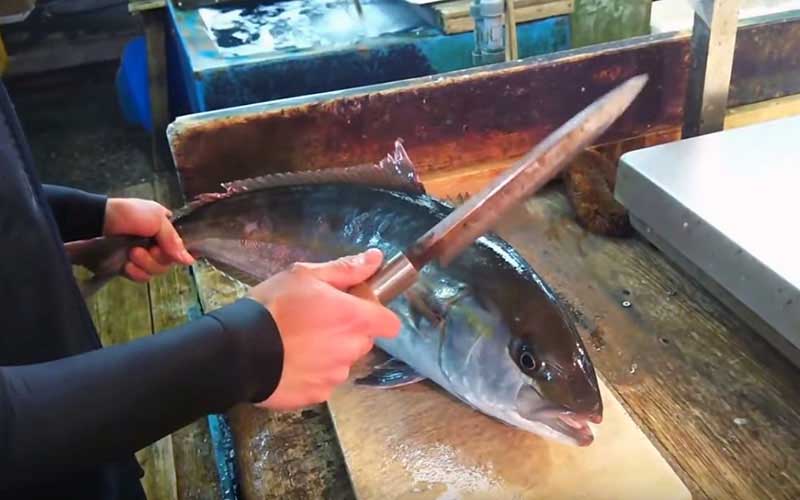 A person preparing to cut a fresh fish on a wooden cutting board.