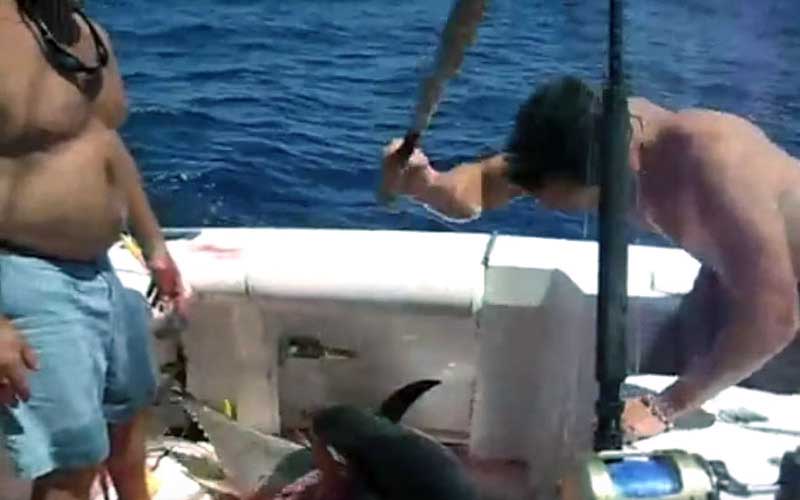 Men on a boat preparing to strike or handle a fish caught on board.
