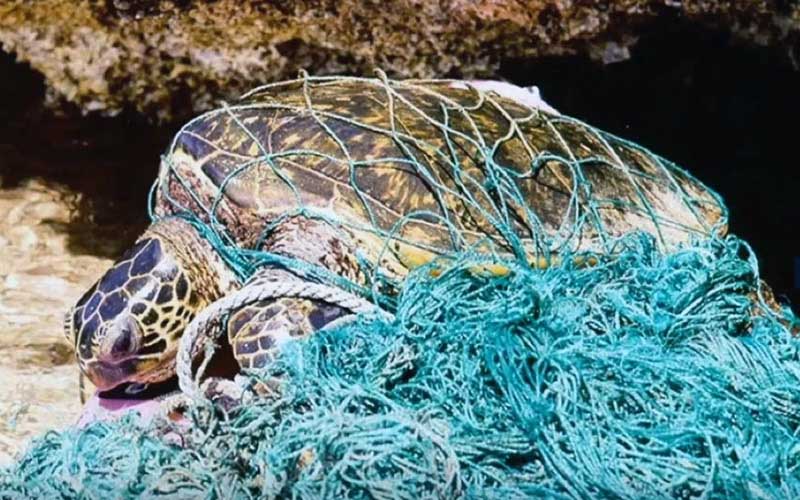 A sea turtle entangled in a pile of fishing nets and marine debris.