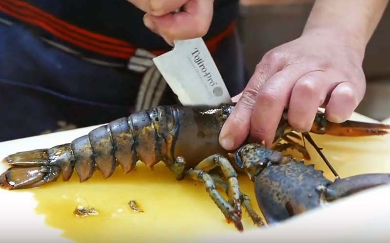 A knife cutting along the body of a lobster resting on a white surface.