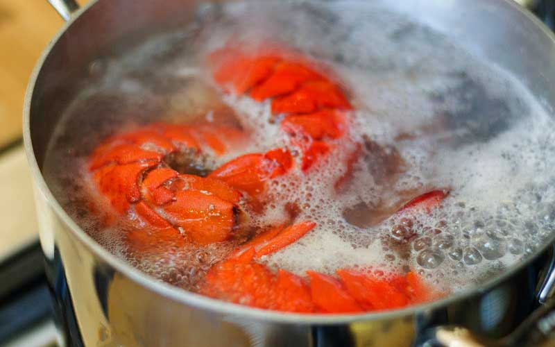 Pieces of lobster cooking in a large pot of simmering boiling water.